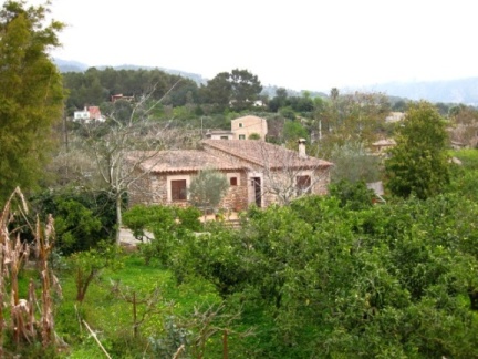 Mallorca2010 54
